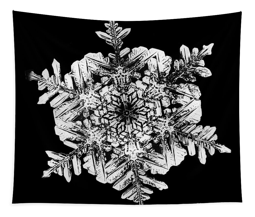 Snowflake Tapestry featuring the photograph Snowflake #1 by Science Source