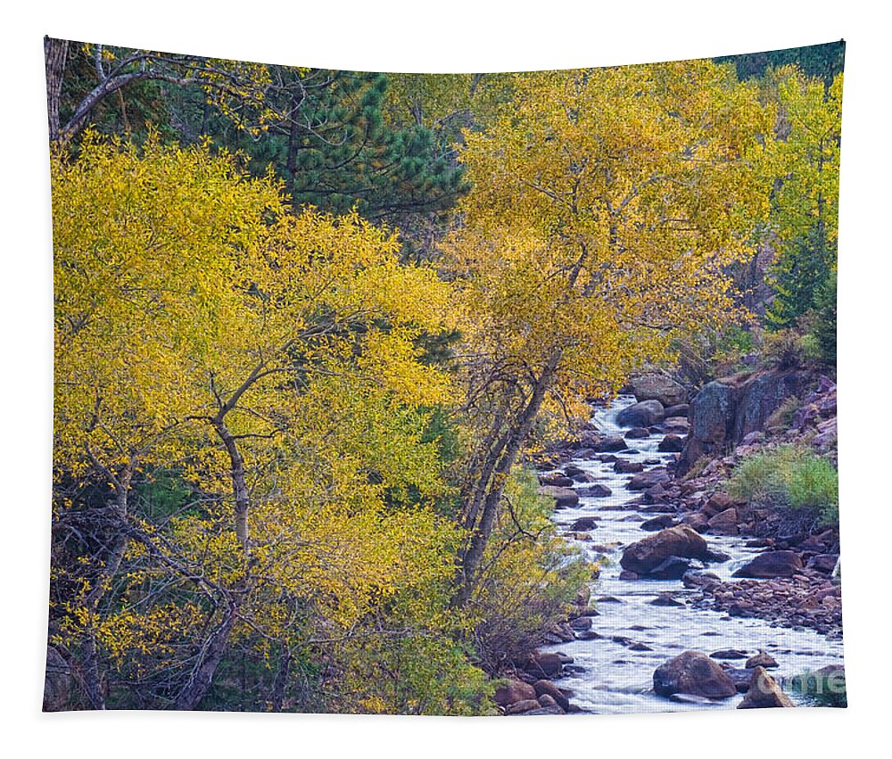 Autumn Tapestry featuring the photograph St Vrain Canyon and River Autumn Season Boulder County Colorado #2 by James BO Insogna