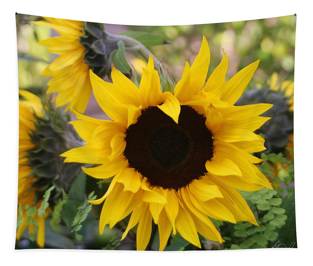 Sunflowers Tapestry featuring the photograph Sunflowers #1 by Diana Haronis