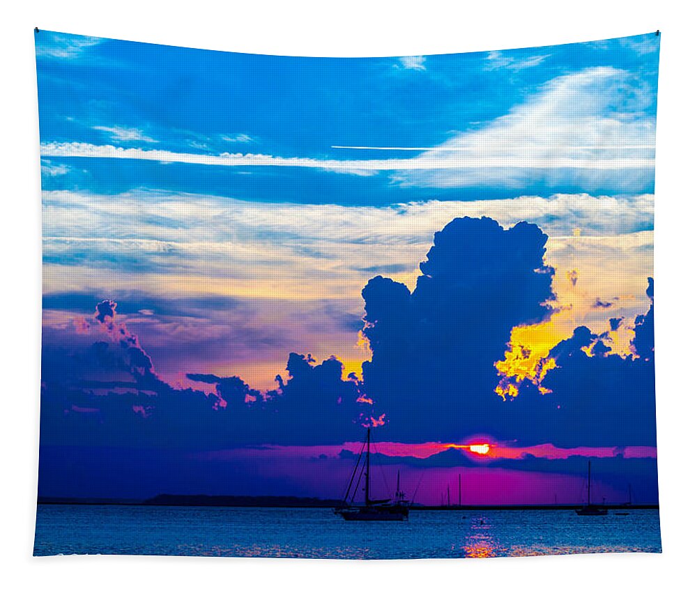  Purple Tapestry featuring the photograph The Purple Sunset by Shannon Harrington