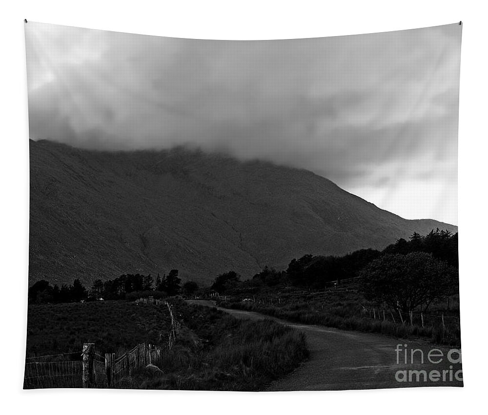 Ireland Photography Tapestry featuring the photograph We Took the Road Less Traveled- black and white photography by Patricia Griffin Brett