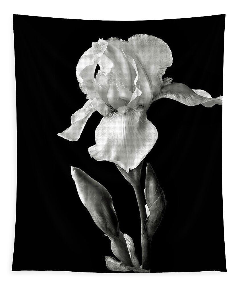 Flower Tapestry featuring the photograph White Iris in Black and White #1 by Endre Balogh