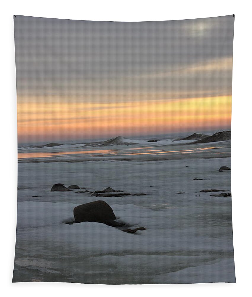 Green Bay Tapestry featuring the photograph Winter Evening Lights #1 by Carrie Godwin