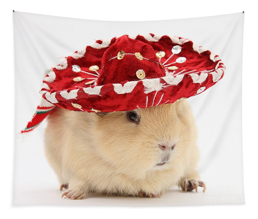 Animal Tapestry featuring the photograph Guinea Pig Wearing A Hat #2 by Mark Taylor
