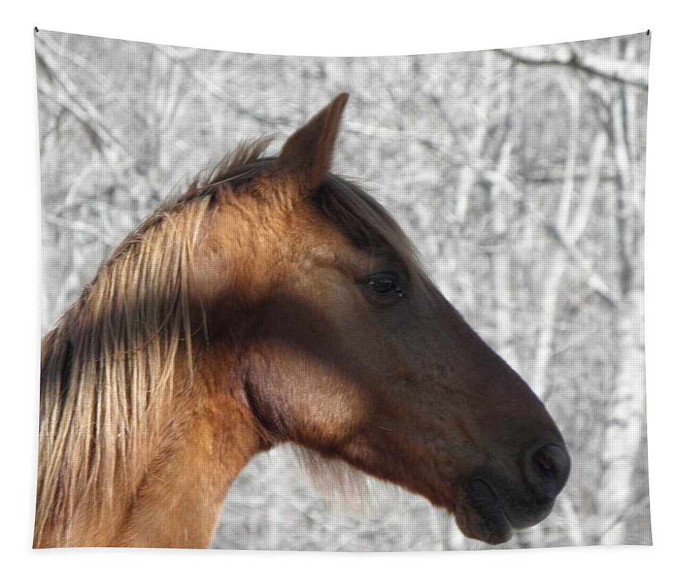 Horse Tapestry featuring the photograph Like My Profile by Kim Galluzzo