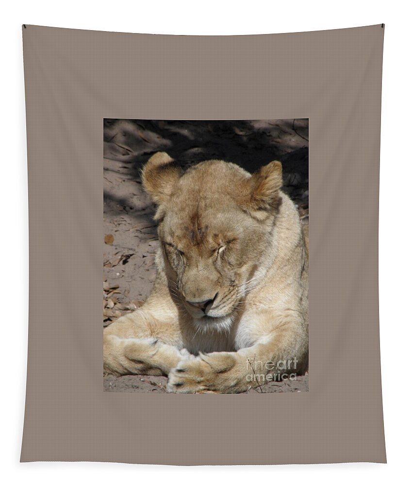 Lioness Tapestry featuring the photograph Lioness #2 by Kim Galluzzo