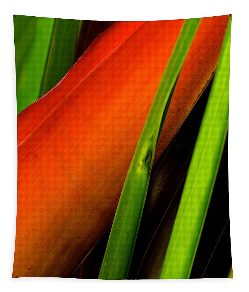 Flowers Tapestry featuring the photograph Photograph of a Parrot Flower Heliconia #2 by Perla Copernik