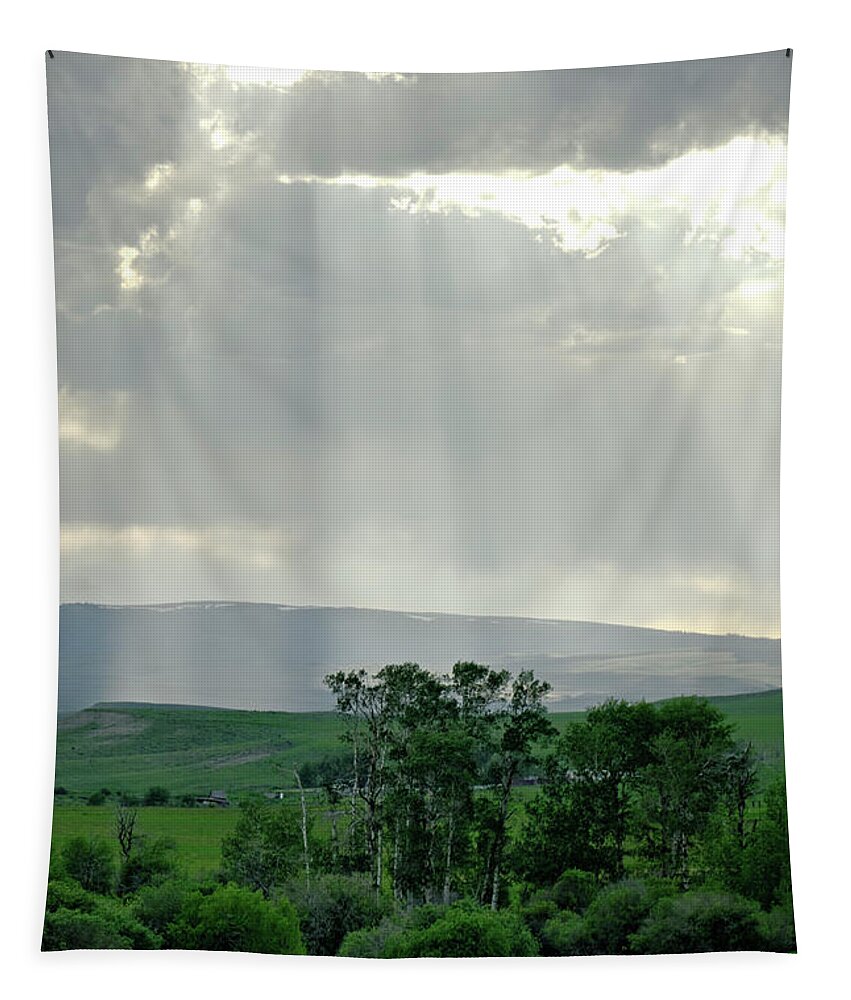 Americas Tapestry featuring the photograph Rain Sun Rays #2 by Roderick Bley