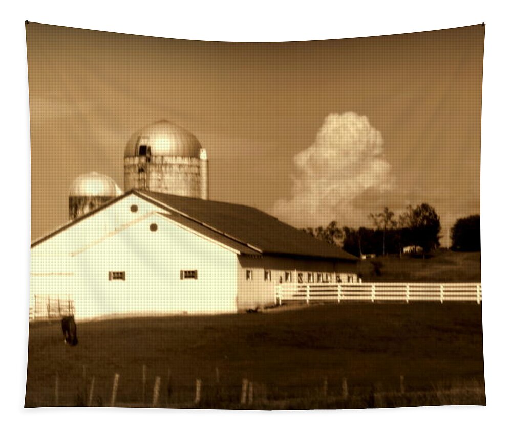 Barns Tapestry featuring the photograph Cattle Farm Mornings by Karen Wiles