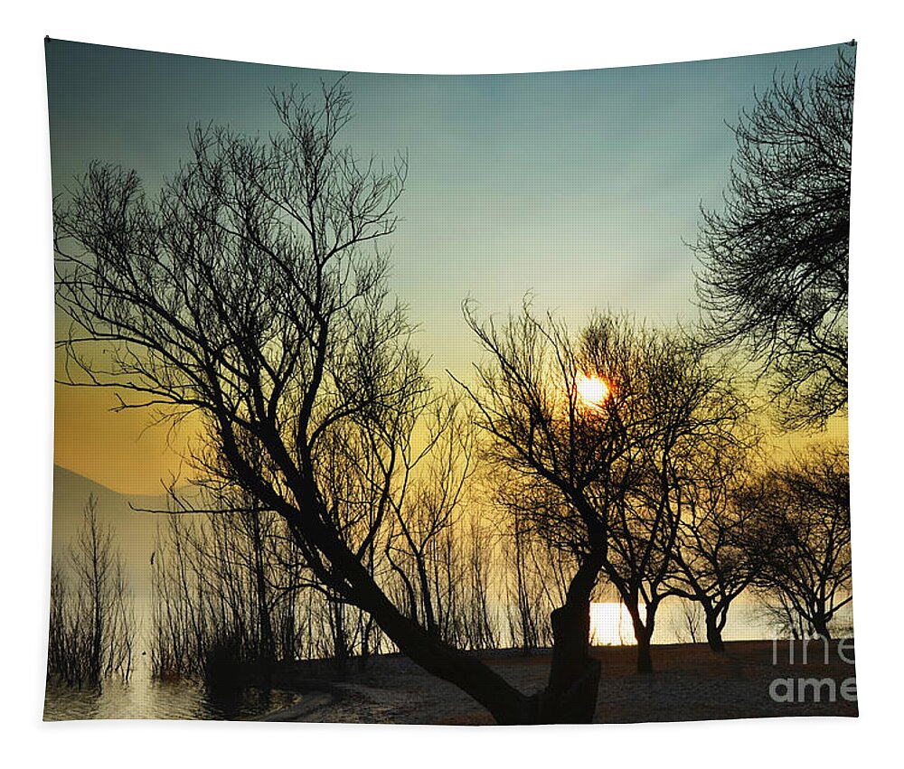 Tree Tapestry featuring the photograph Sunlight between the trees #2 by Mats Silvan