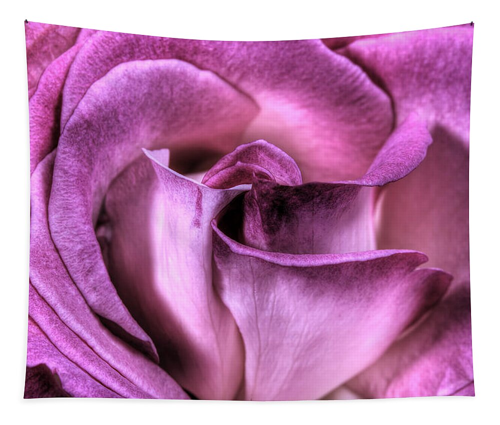 Rose Tapestry featuring the photograph Antique Rose by Perla Copernik