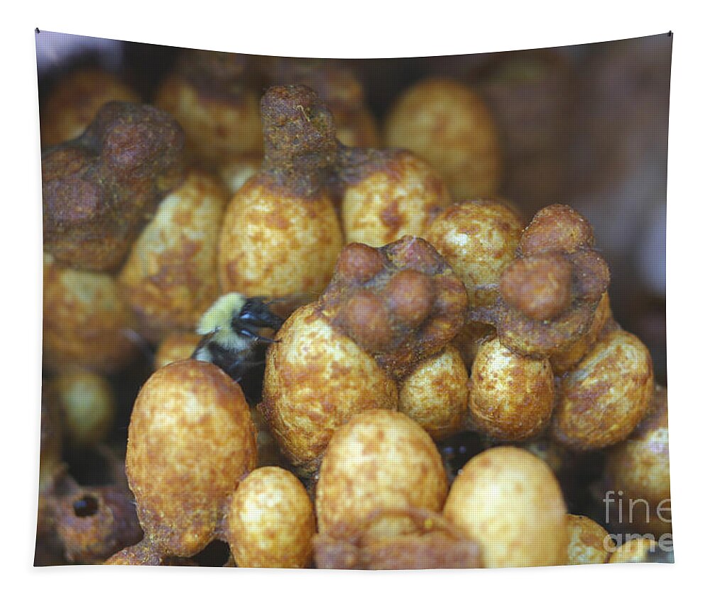 Animal Tapestry featuring the photograph Bumblebee Nest #3 by Ted Kinsman