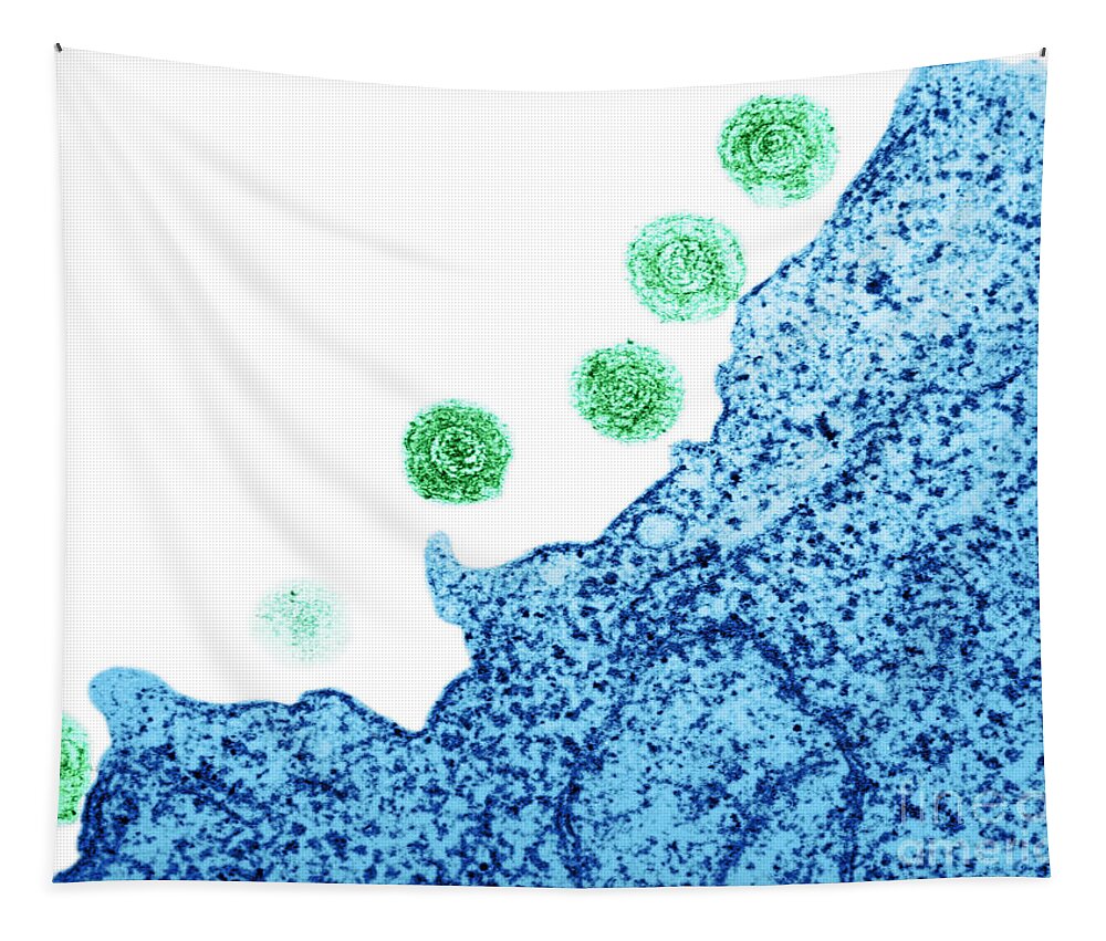 Dna Virus Tapestry featuring the photograph Human Herpes Virus-6 #3 by Science Source