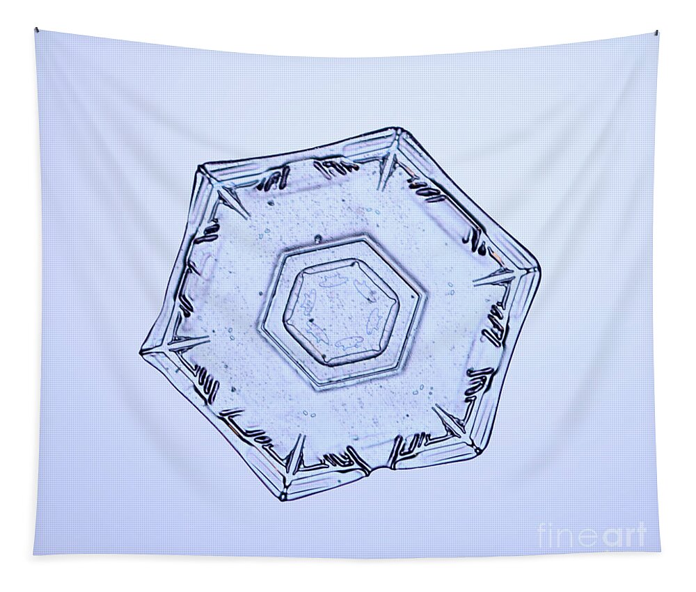 Snow Tapestry featuring the photograph Snowflake #37 by Ted Kinsman