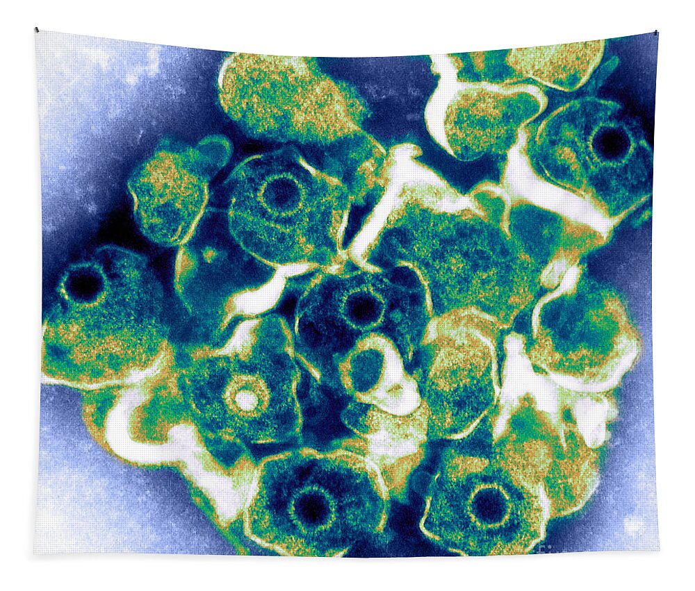 Electron Micrograph Tapestry featuring the photograph Herpes Simplex Virus Tem #4 by ASM/Science Source