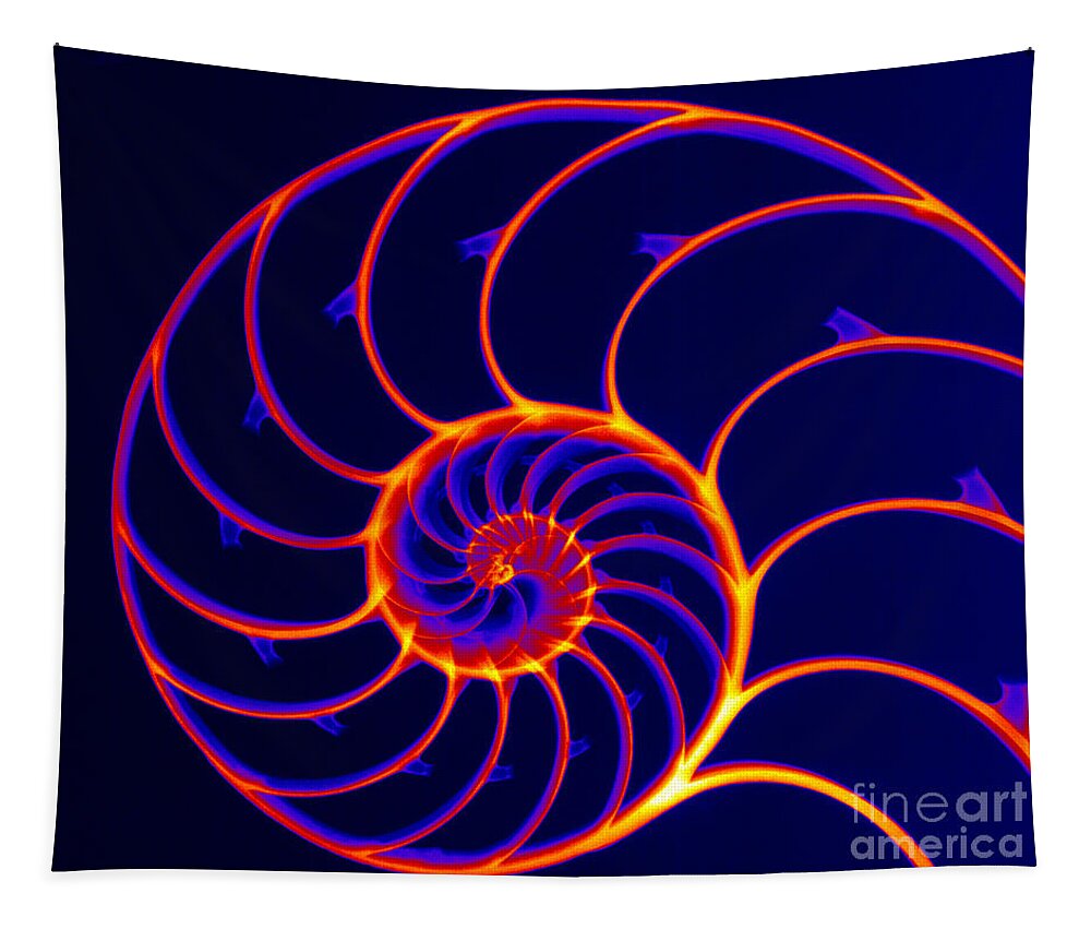X-ray Tapestry featuring the photograph Chambered Nautilus #6 by Ted Kinsman