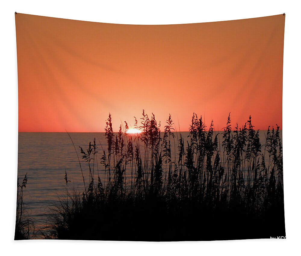 Sunrise Tapestry featuring the photograph A Beautiful Rise by Kim Galluzzo Wozniak