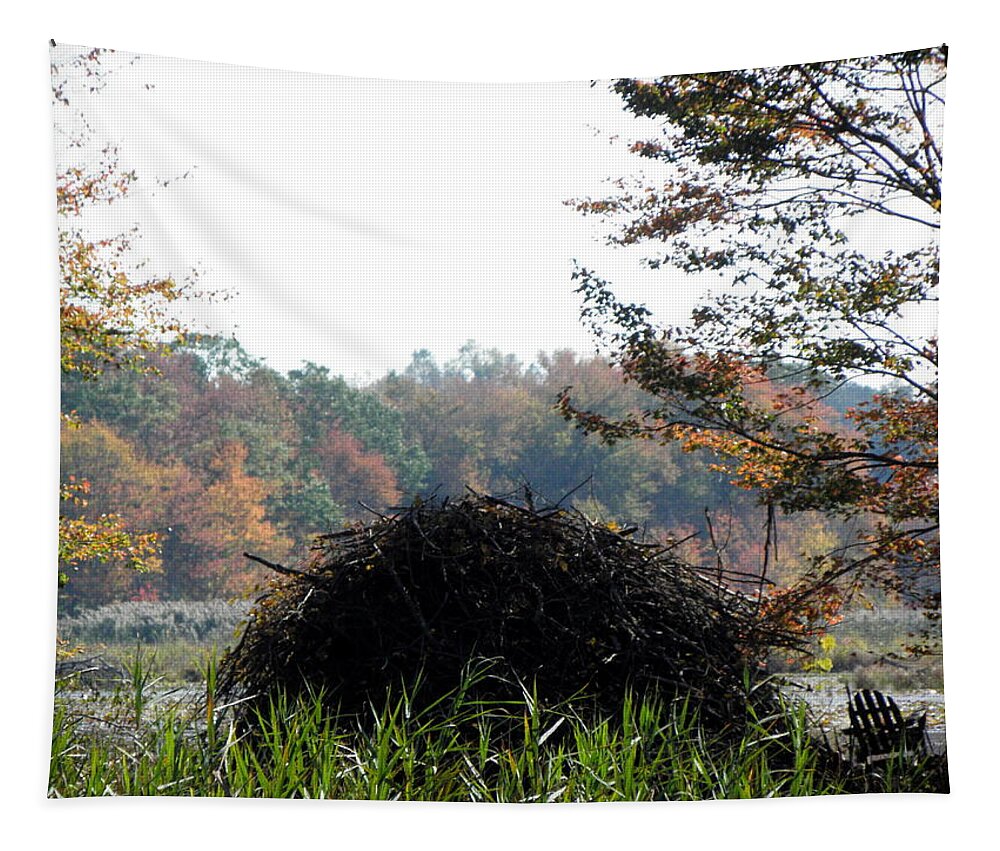 Beaver Tapestry featuring the photograph A Beavers Home by Kim Galluzzo