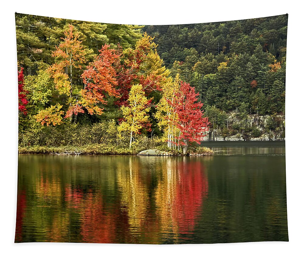 Autumn Tapestry featuring the photograph A Breath Of Autumn by Evelina Kremsdorf