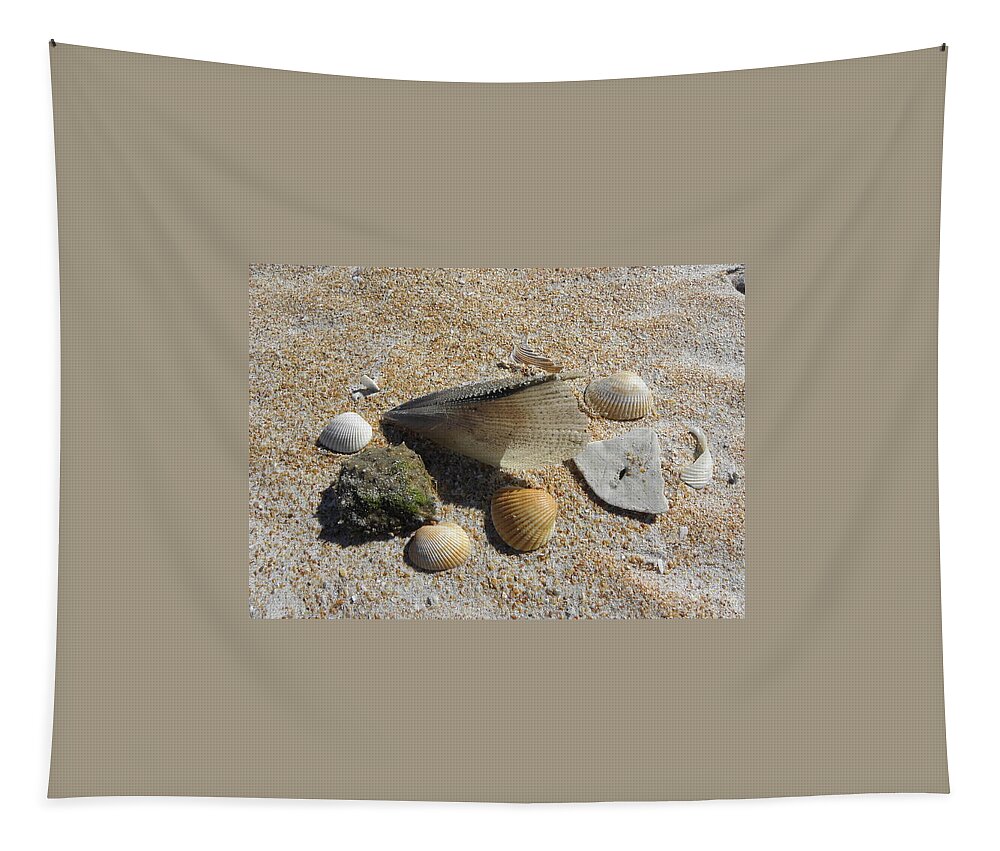 Sea Shells Tapestry featuring the photograph A Collection Of Beach Nature by Kim Galluzzo