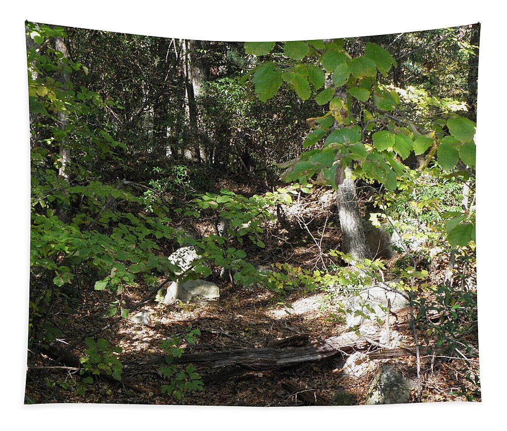 Woods Tapestry featuring the photograph A Country Path by Kim Galluzzo
