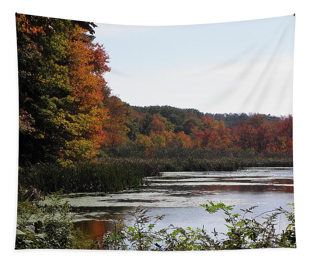 Fall Tapestry featuring the photograph A Curve Of Color by Kim Galluzzo