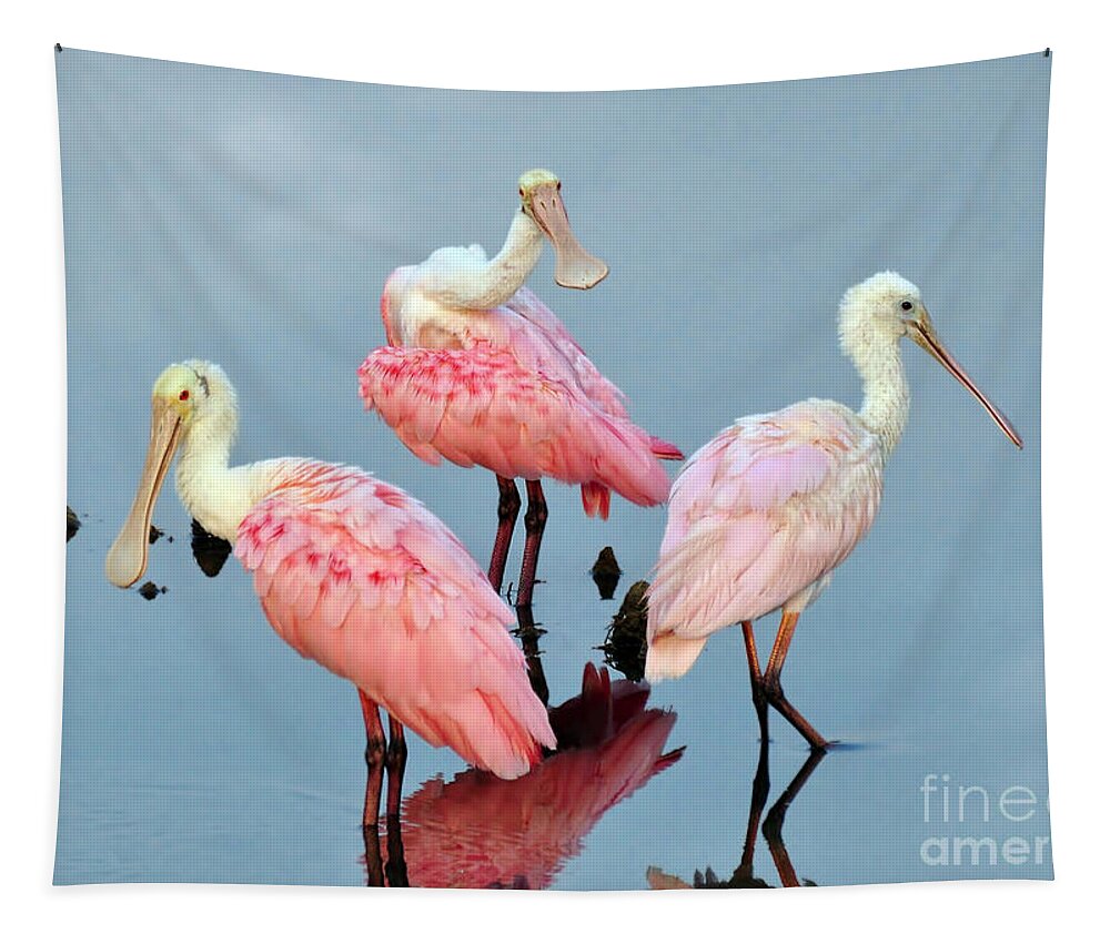 Birds Tapestry featuring the photograph A Family Gathering by Kathy Baccari