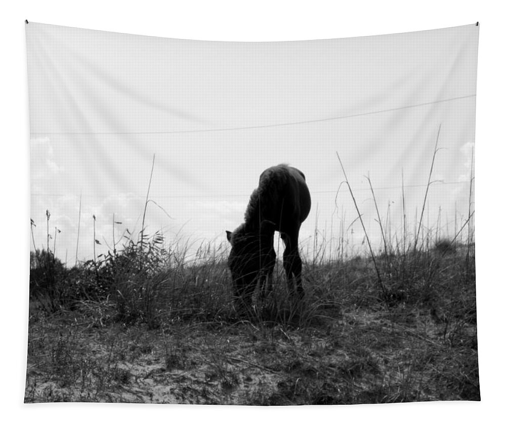 Wild Tapestry featuring the photograph A Final Graze A Dusk by Kim Galluzzo