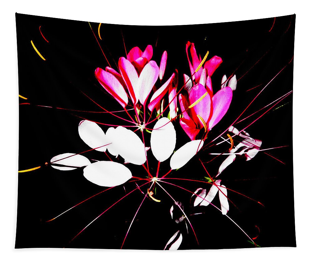 Flower Tapestry featuring the photograph A Flower Burst At Night by Kim Galluzzo