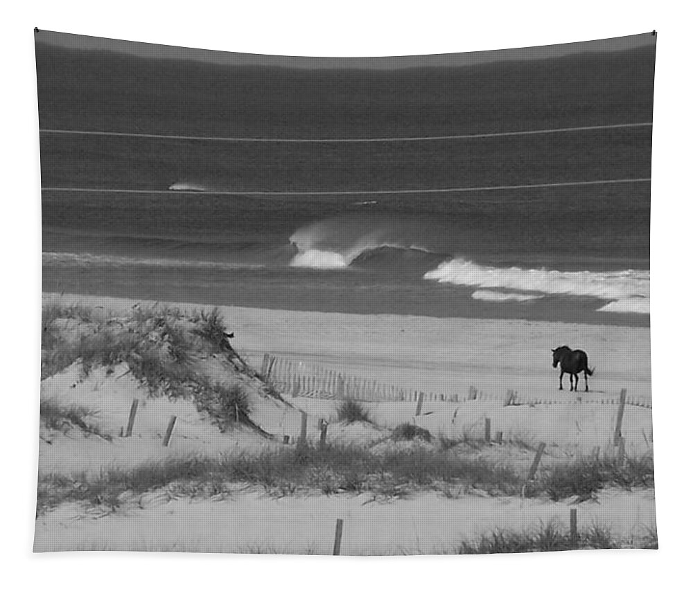 Wild Spanish Mustangs Tapestry featuring the photograph A Lone Stallion On The Beach by Kim Galluzzo