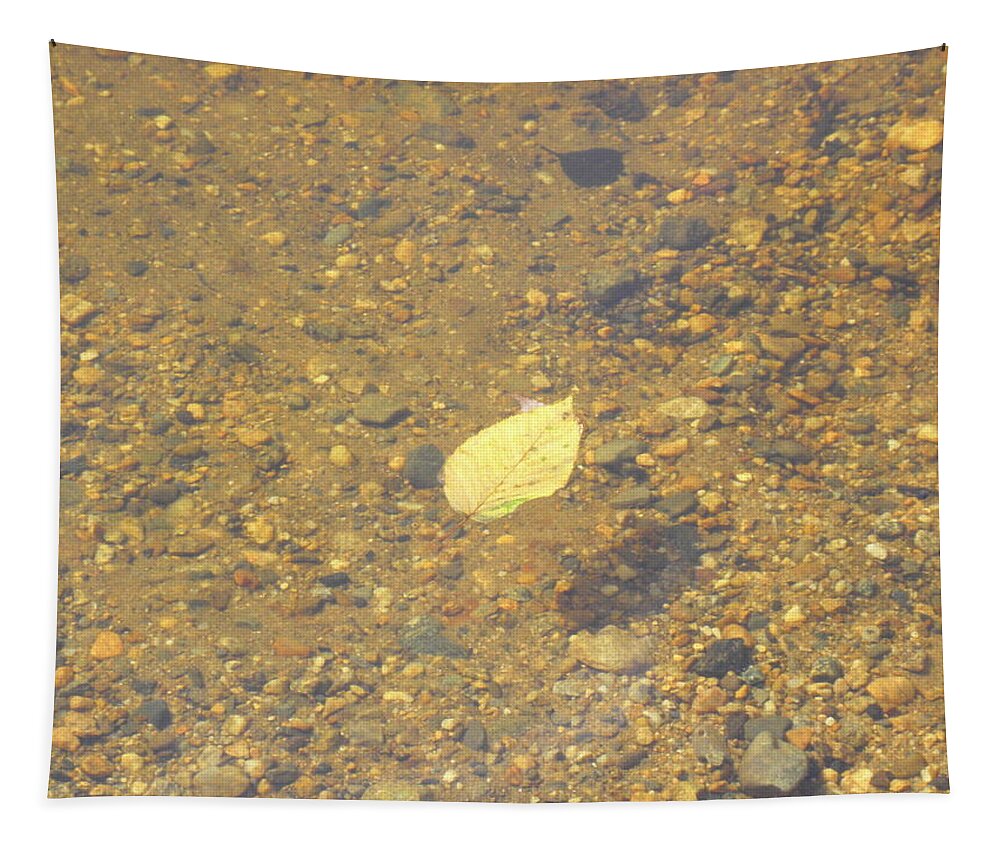 Leaf Tapestry featuring the photograph A Lonely Floater by Kim Galluzzo Wozniak