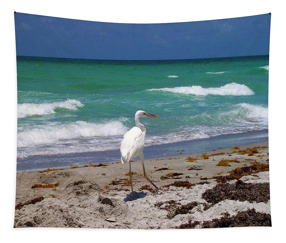 Beach Tapestry featuring the photograph A Walk In Long Boat Key by Megan Ford-Miller