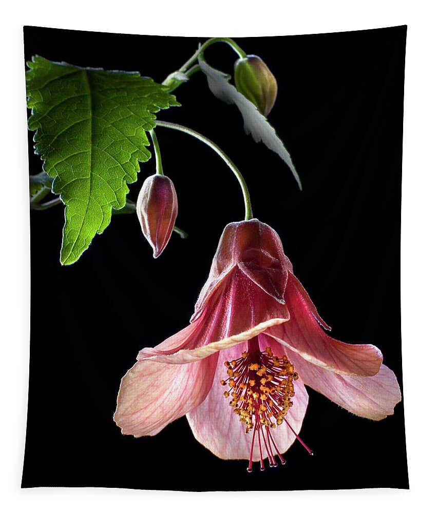 Flower Tapestry featuring the photograph Ablution by Endre Balogh