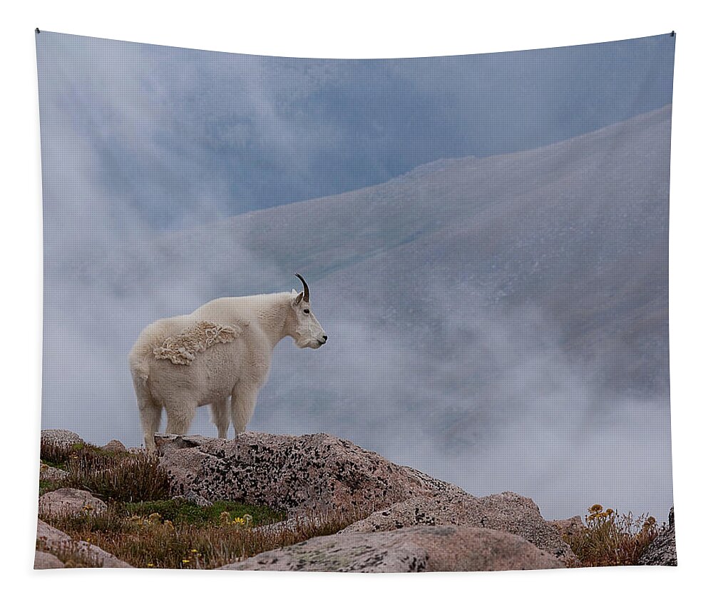 Billie Goat Tapestry featuring the photograph Above the Clouds by Jim Garrison