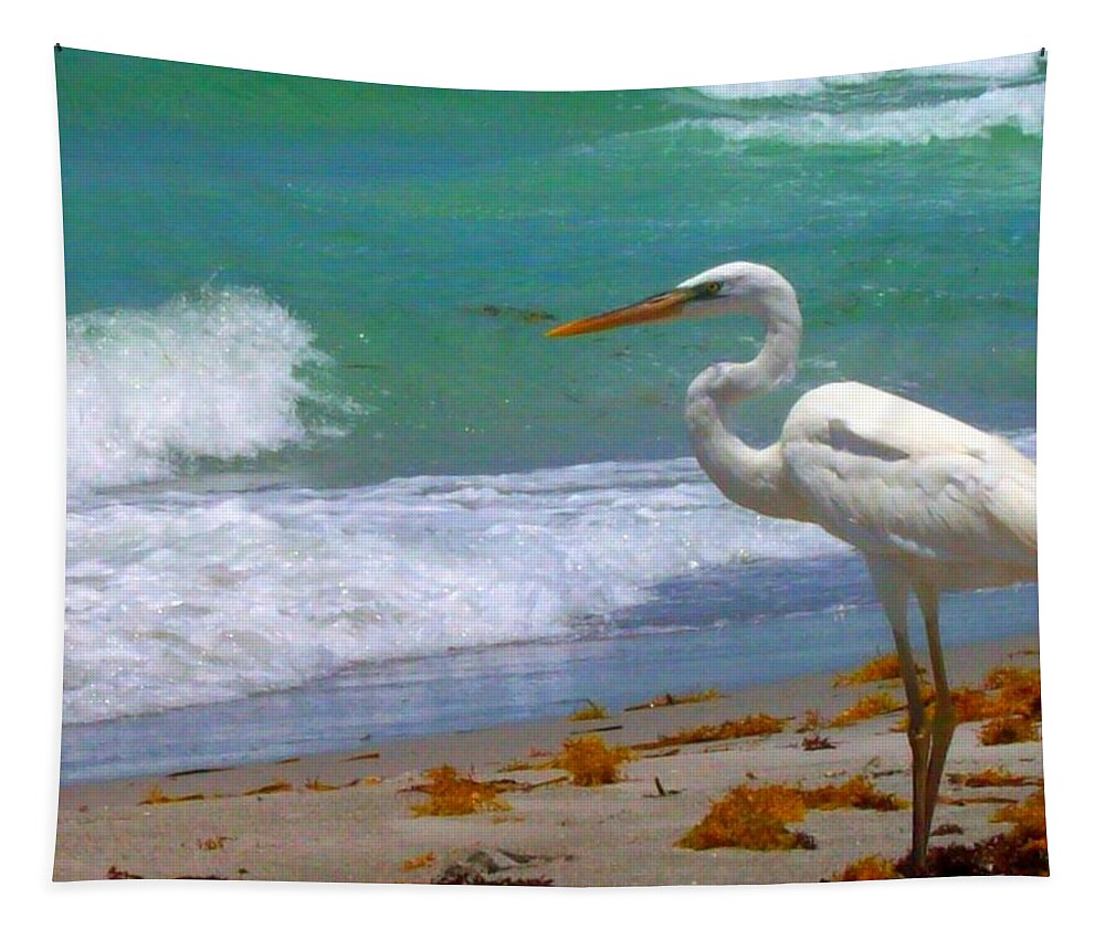 Beach Tapestry featuring the photograph Absorbed In Long Boat Key by Megan Ford-Miller