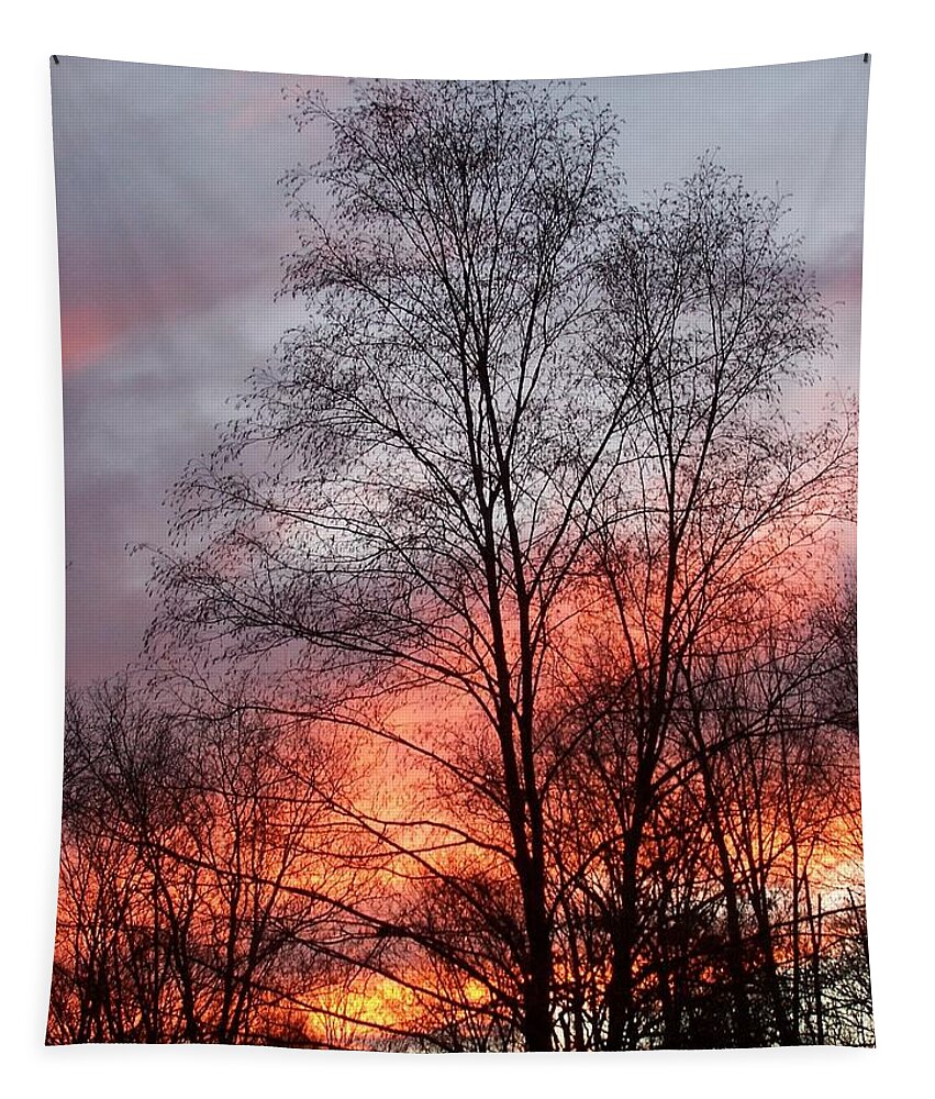 Sunset Tapestry featuring the photograph Adding Life To What Has Passed by Kim Galluzzo Wozniak