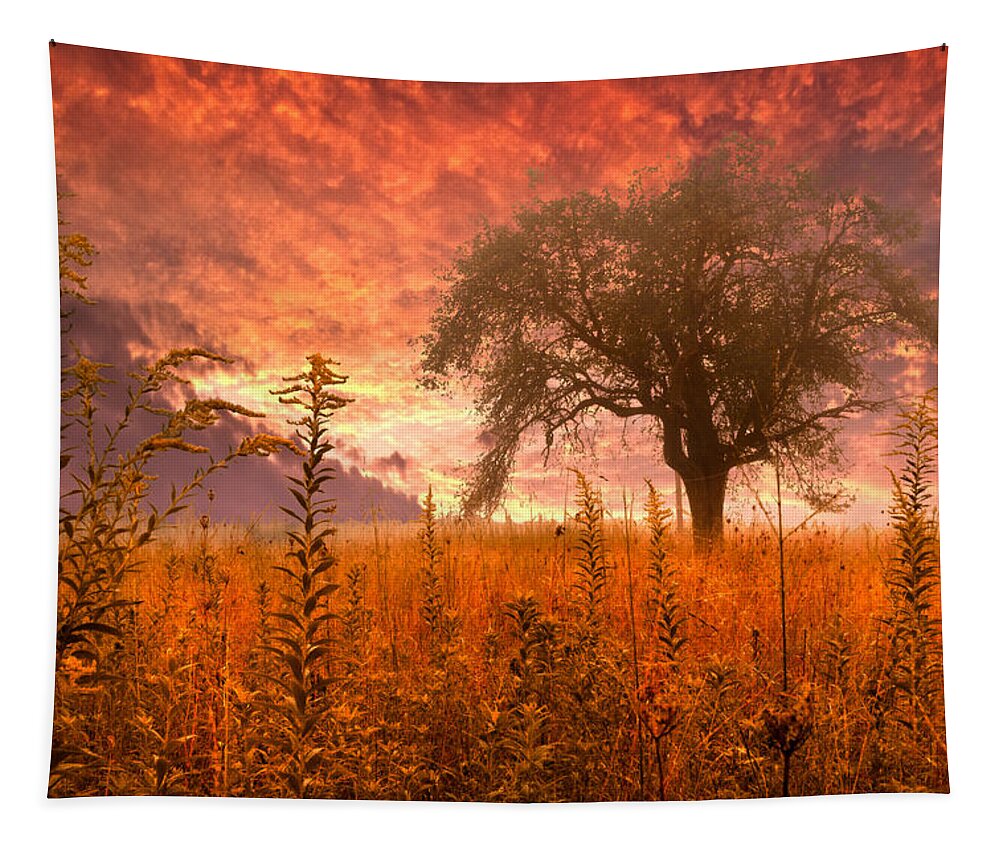 Andrews Tapestry featuring the photograph Aflame by Debra and Dave Vanderlaan