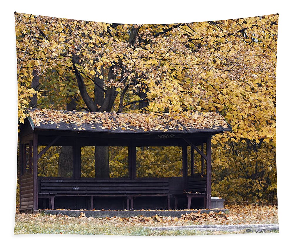 Autumn Tapestry featuring the photograph Alcove In The Autumn Park by Michal Boubin