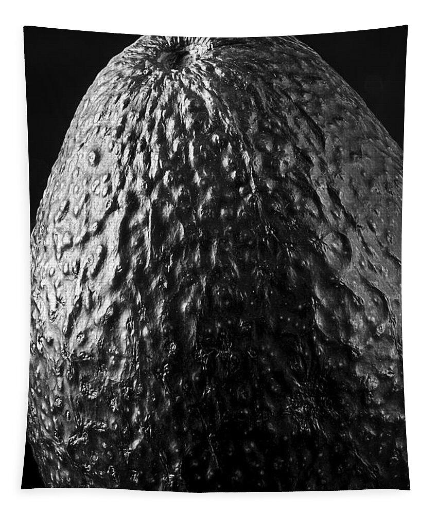 Photography Tapestry featuring the photograph Alien Egg by Frederic A Reinecke