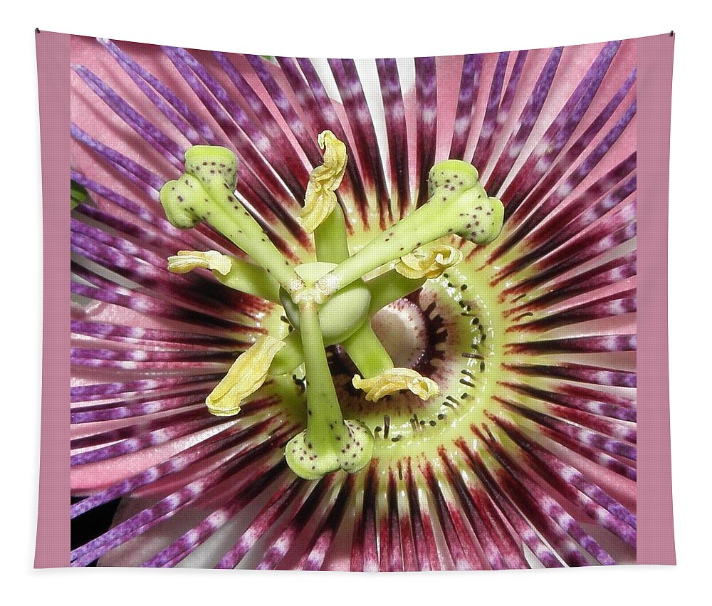 Passion Flower Tapestry featuring the photograph Alienated by Kim Galluzzo Wozniak