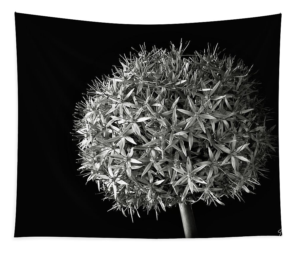 Flower Tapestry featuring the photograph Allium in Black and White by Endre Balogh