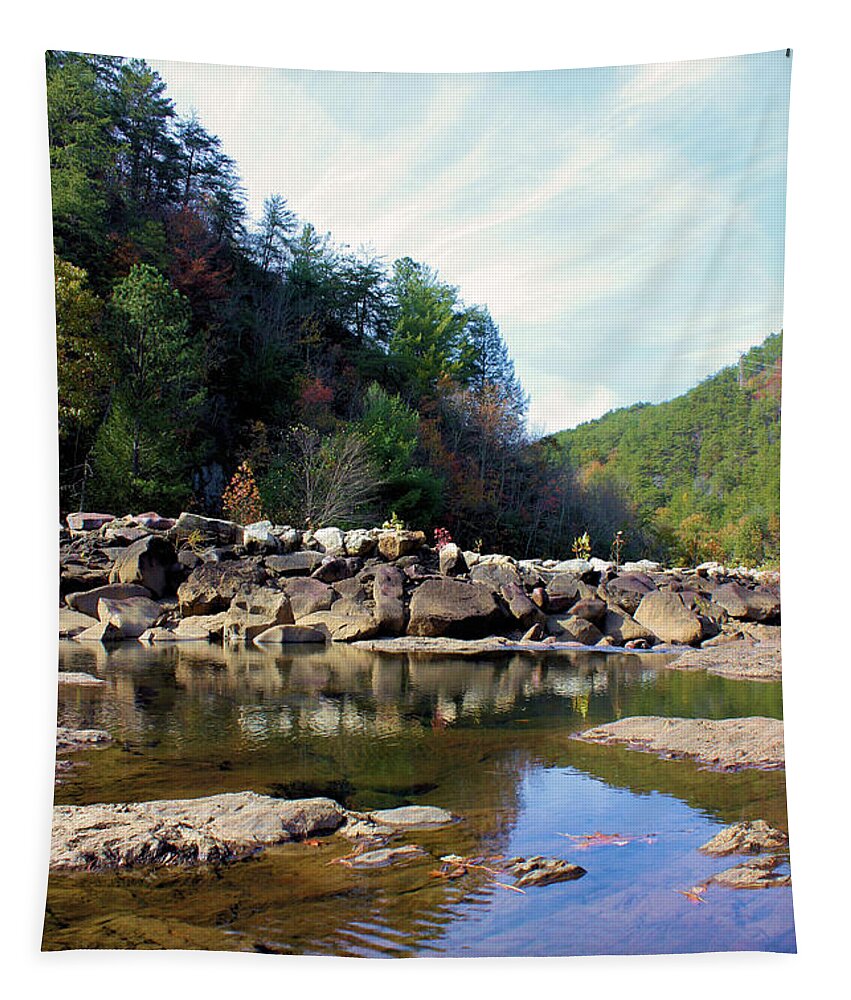 Autumn Tapestry featuring the photograph Along the Ocoee by Kristin Elmquist