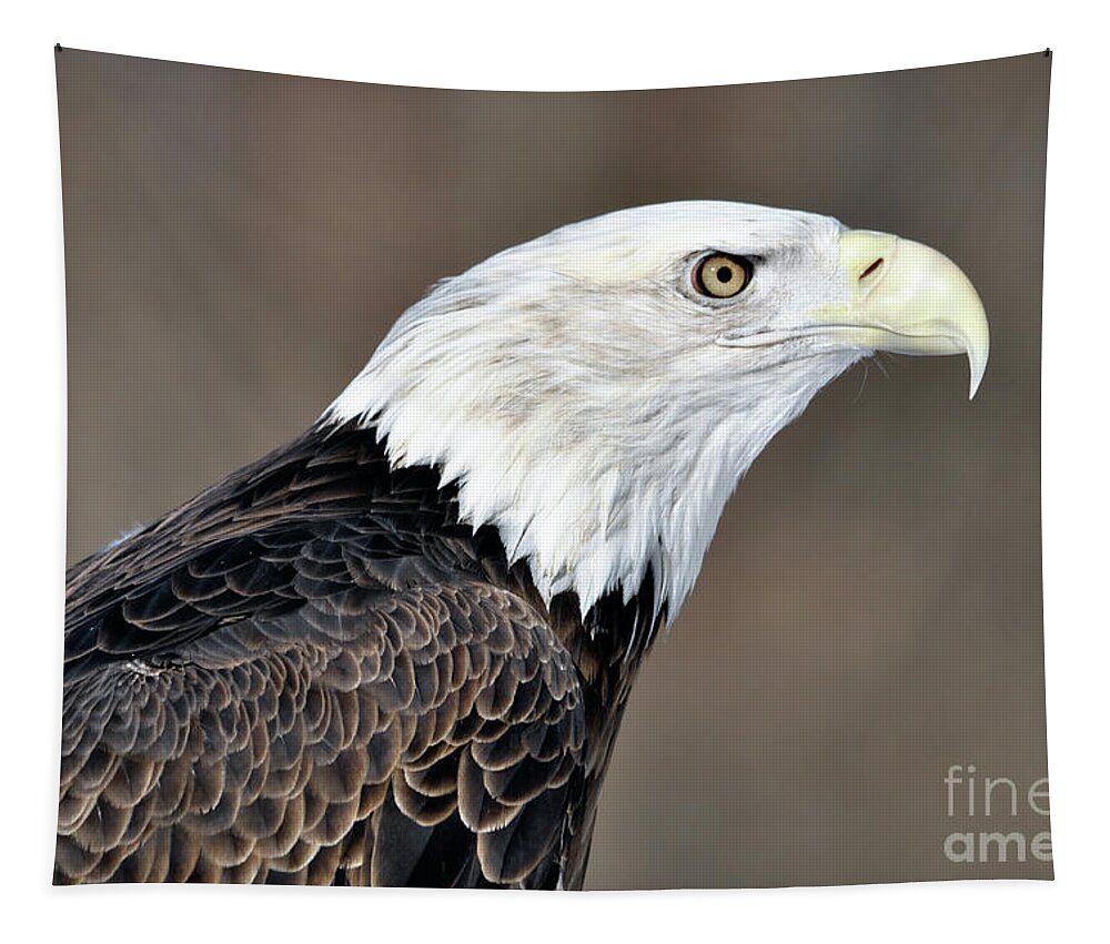 Bald Eagle Tapestry featuring the photograph American Bald Eagle by Ronald Grogan