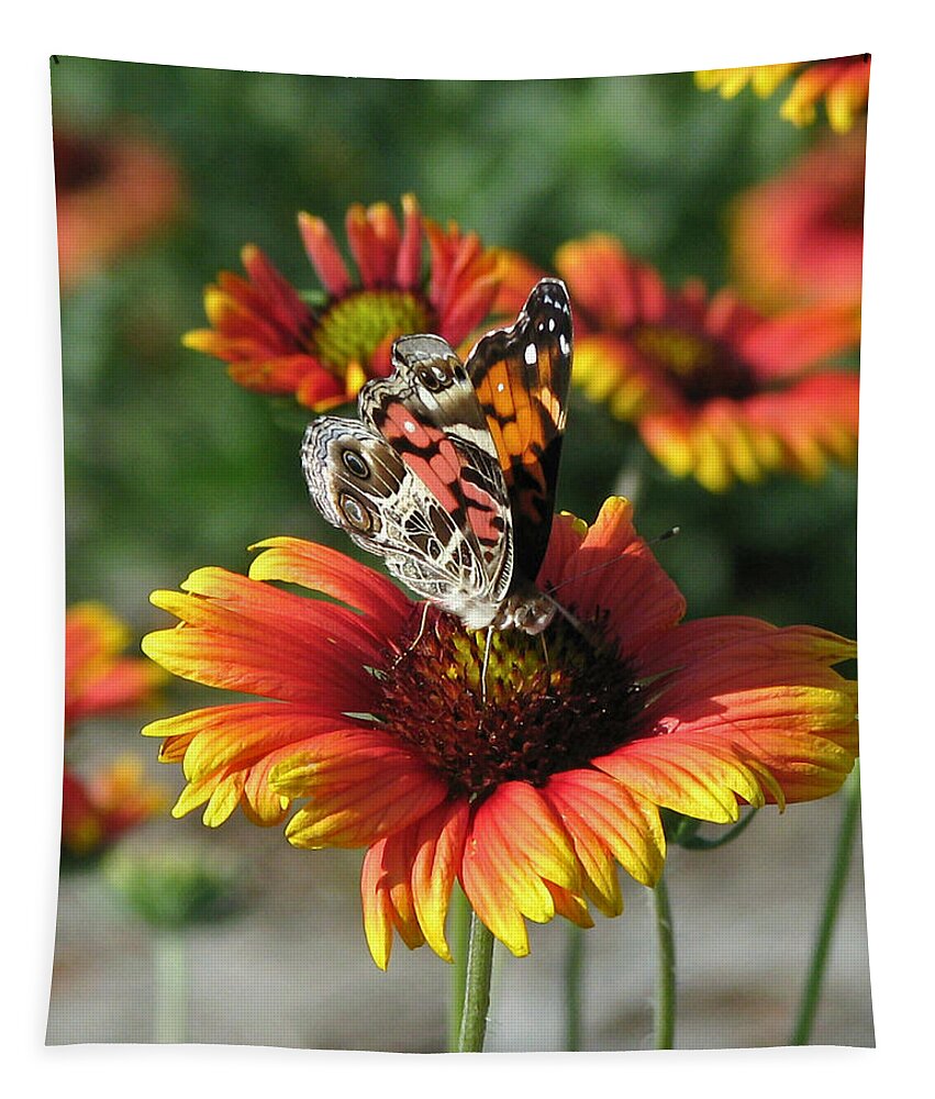 Nature Tapestry featuring the photograph American Lady Butterfly by Peggy Urban