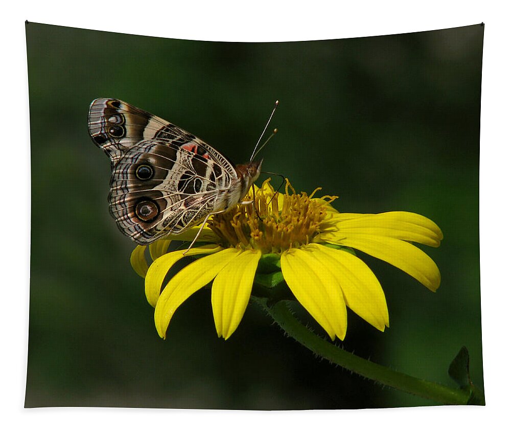 Nature Tapestry featuring the photograph American Lady by Peggy Urban