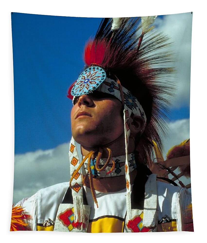 Native American Indian Tapestry featuring the photograph An American Indian No1 by Guy Harnett