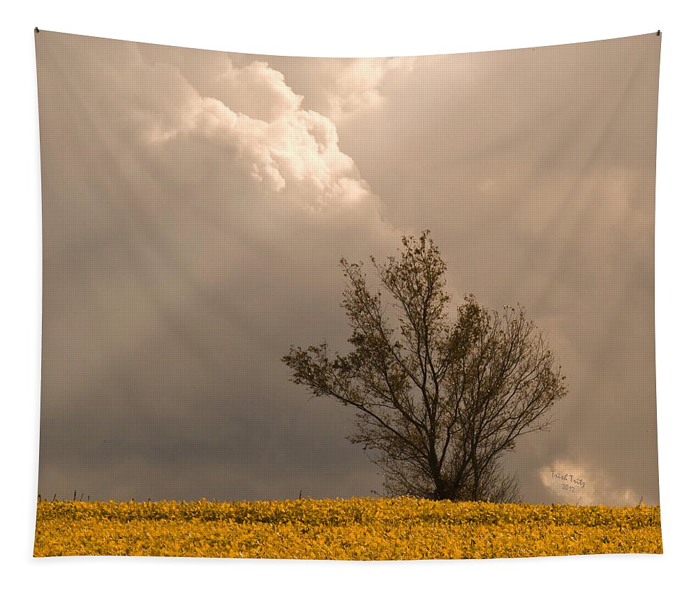Tree Tapestry featuring the photograph Angel From Heaven by Trish Tritz