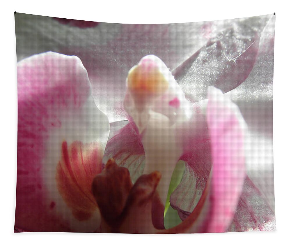 Orchid Tapestry featuring the photograph Angel Winged Orchid by Kim Galluzzo