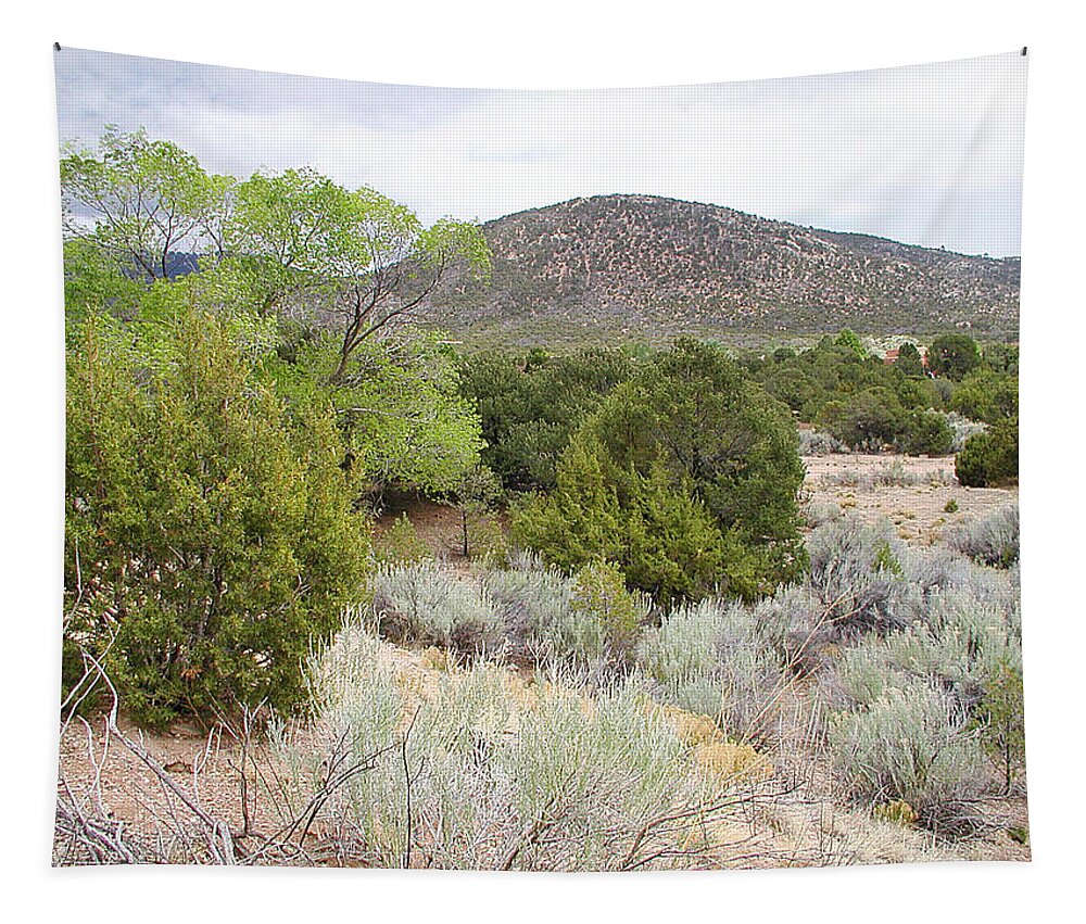 Landscape Tapestry featuring the photograph April New Mexico Desert by Kathleen Grace