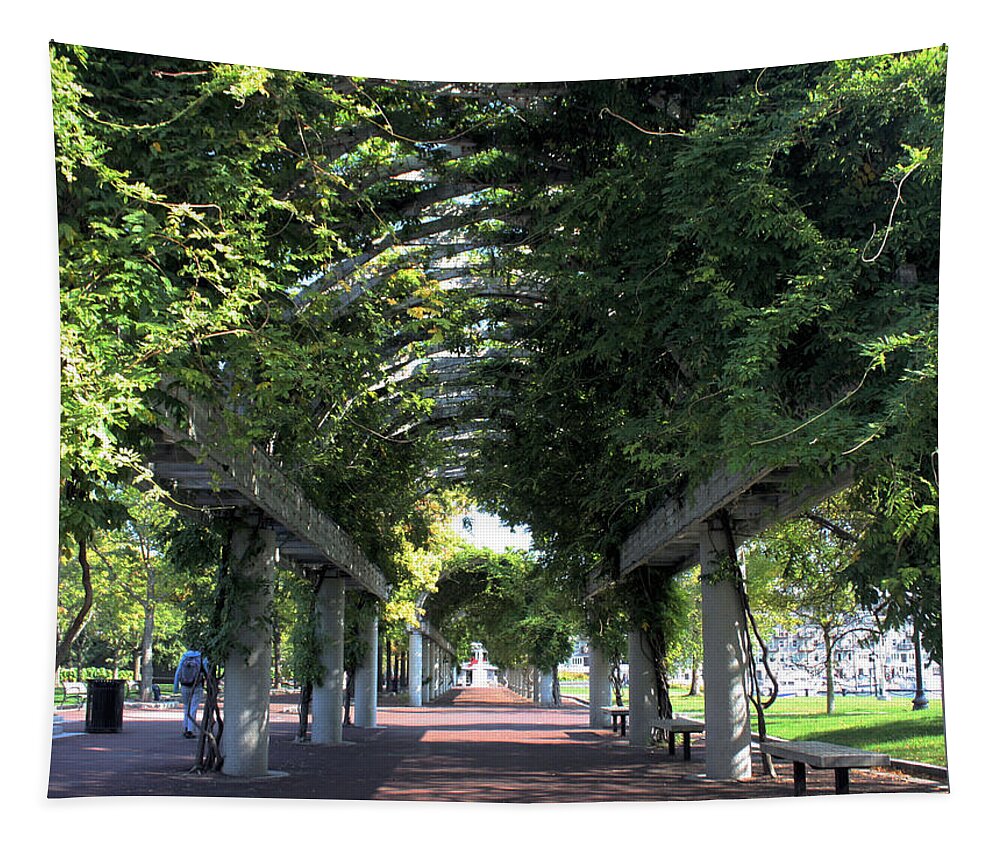 Boston Tapestry featuring the photograph Arbor in Boston by Kristin Elmquist